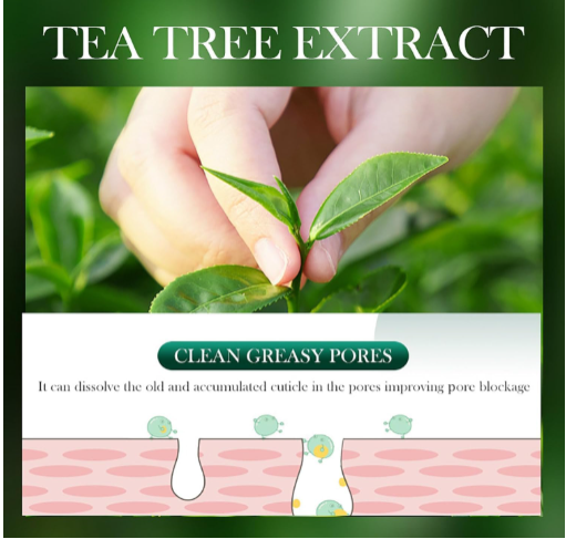 Sadoer Tea Tree Acne & Oil Control Face Cream | Breakout Defense + Matte Hydration for Clear, Balanced Skin
