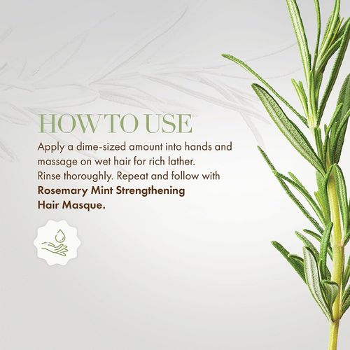 Mielle Organics Rosemary Mint Strengthening Shampoo- Infused with Biotin & Encourages Hair Growth - 355ml