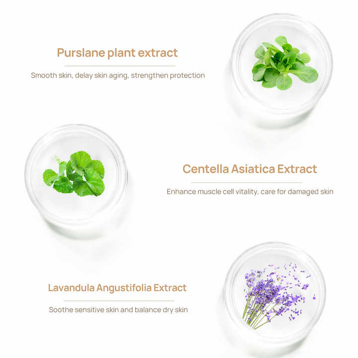 Lanbena Scar Removal Stretch Marks Serum , 20ml