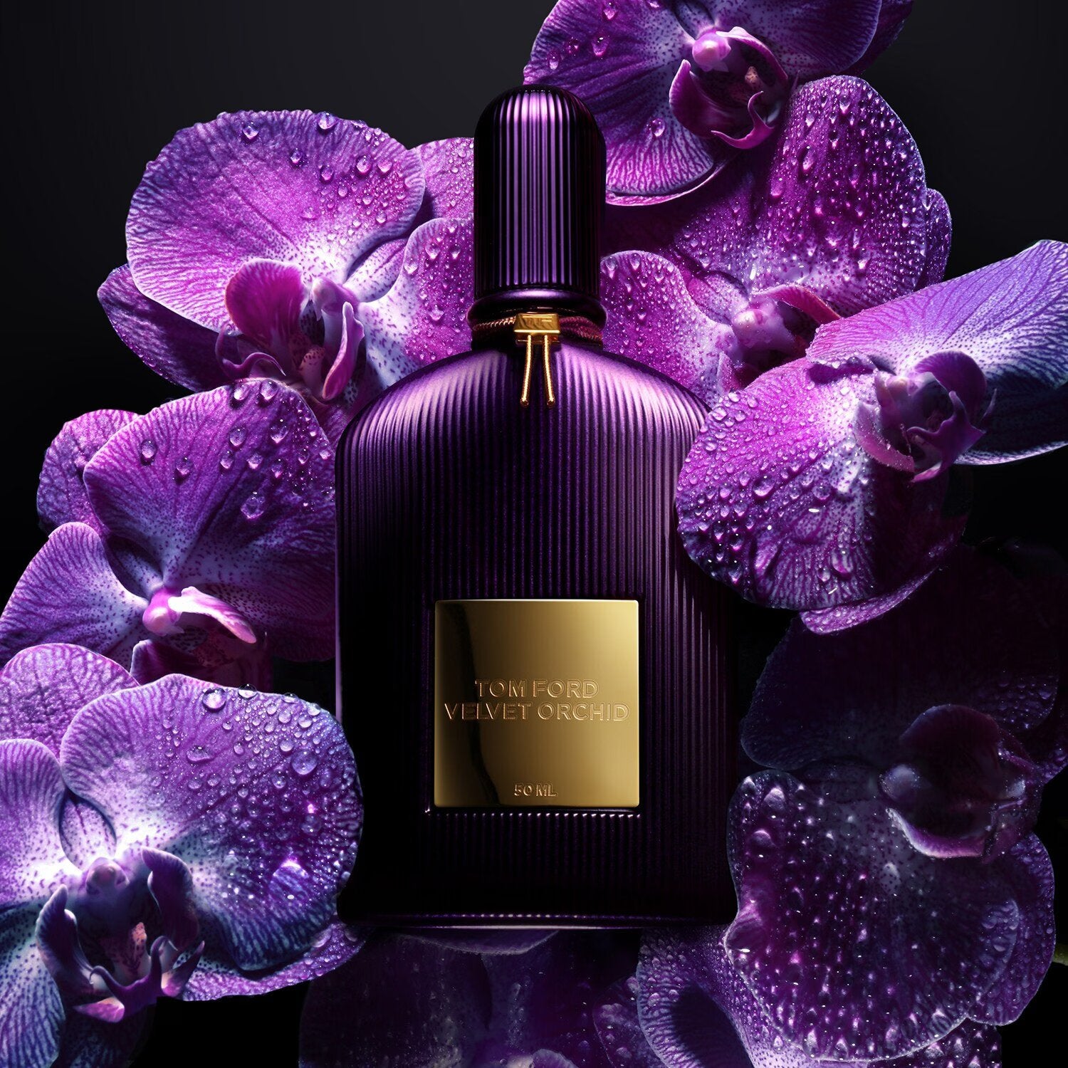 Black Orchid Unisex Perfume By Tom Ford EDP