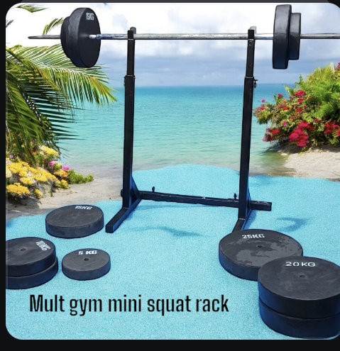 Home and commercial full gym set up