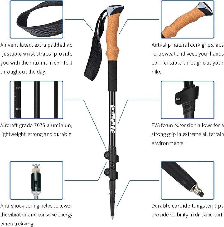 Shamborina Hiking Stick - Trekking Pole