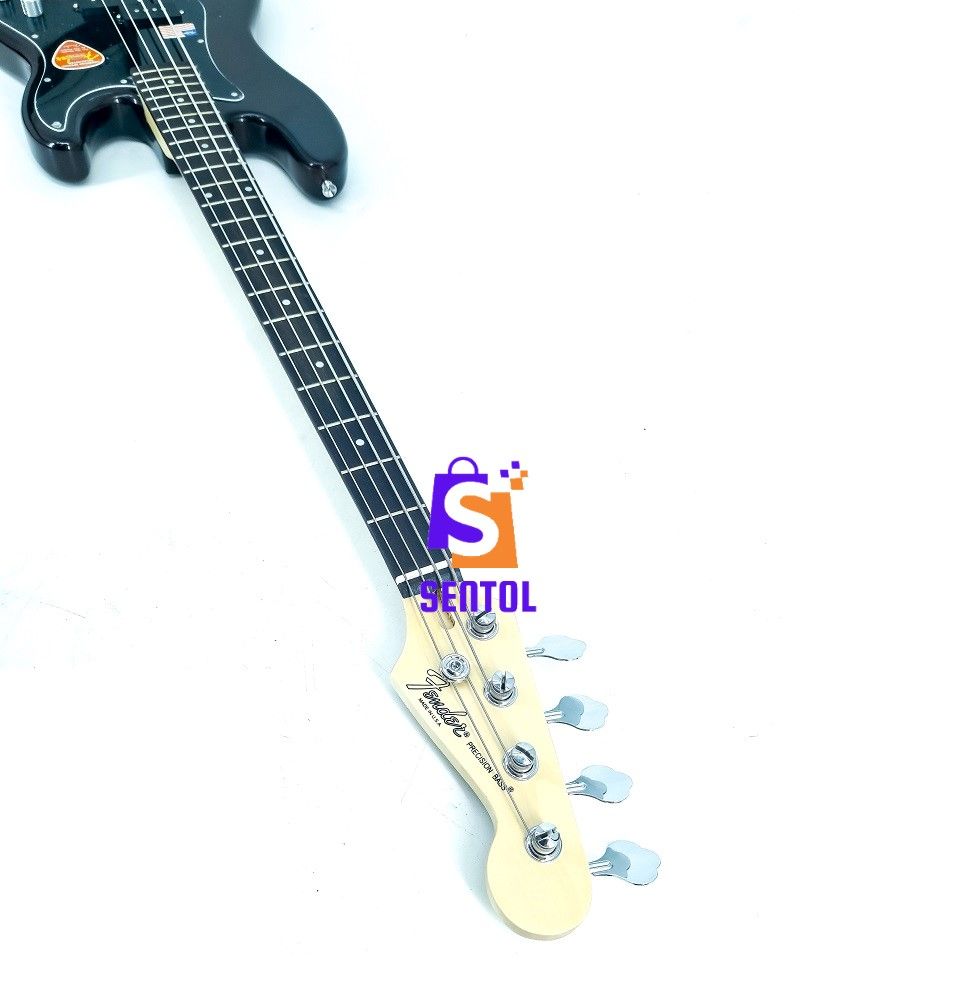Multicolour FG 4 String Bass Guitar