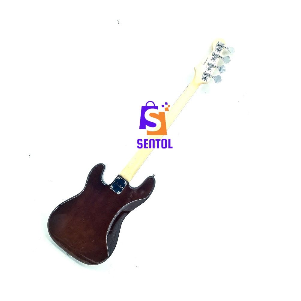 Multicolour FG 4 String Bass Guitar