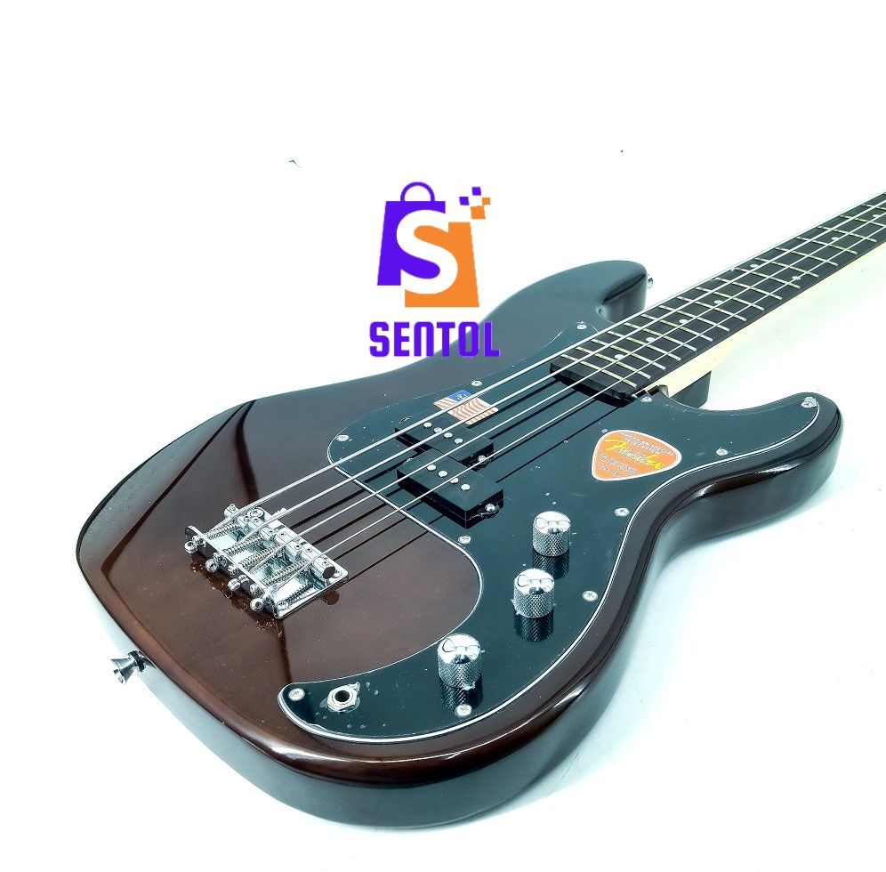 Multicolour FG 4 String Bass Guitar