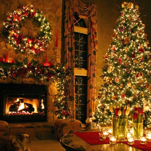 Christmas Xmas String Lights Outdoor 10M LED Waterproof Fairy Wedding/Party Warm White New | Waterproof LED Fairy Lights for Outdoor & Indoor Christmas, Weddings, Birthdays & Parties. Energy-efficient