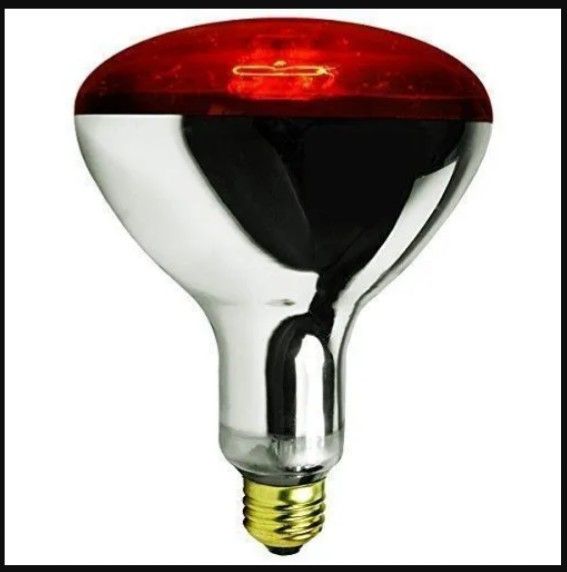 Red Infrared Chicken Bulb Professional Farm Garage with 6000h Long Life Helps Maintain Animal Warmth. Pemium Quality with a Non-stick Base Infrared Brooder Heat Lamp Bulb, Poultry, chicken Bulb
