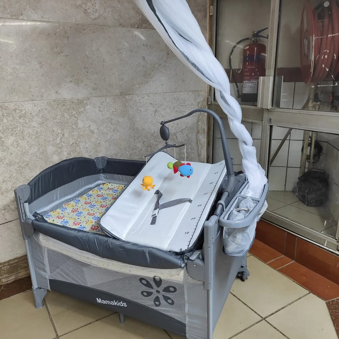 Mama Kids Foldable & Portable Baby Cosleeper /Playpen/ Crib -Grey