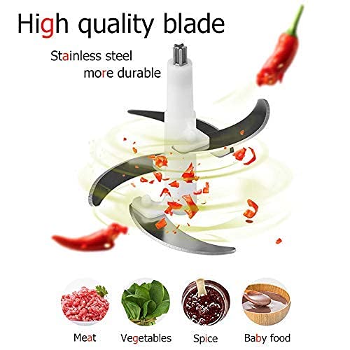 Stainless Steel Electric Meat Grinders with Bowl Heavy for Kitchen Food Chopper, Meat, Vegetables, Onion, Garlic Slicer Dicer, Fruit & Nuts Blender (300 Watts) (2 LITER)