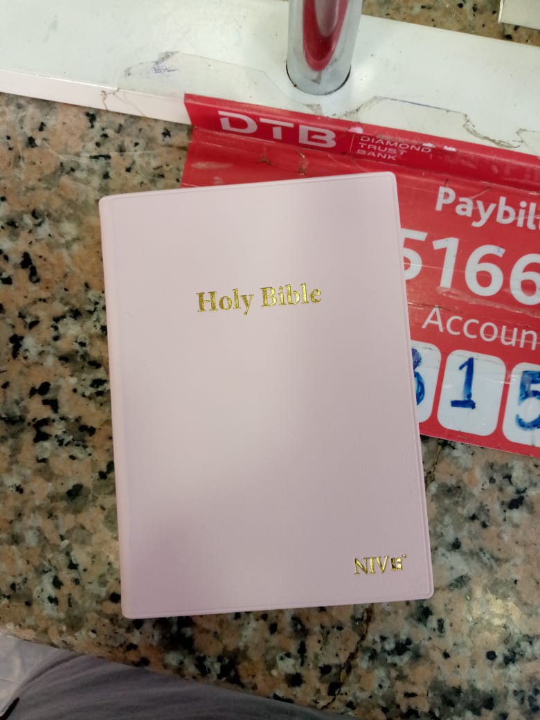 Holy Bible, specifically the New International Version (NIV).
The cover is a blush pink vinyl with a leather-like grain and gold-foiled text. 
It is described as a compact version. 
The NIV is a popul