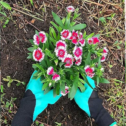 Garden Gloves With Claws 1 Pairs for Digging Weed Pulling Garden Finger Claws Gloves Outdoor Protective Work Gloves