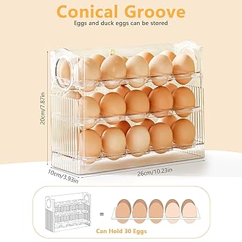 Egg Box Holds Up to 30 Eggs, Plastic Egg Box, Portable Egg Storage Box, Egg Box for Refrigerated Kitchen