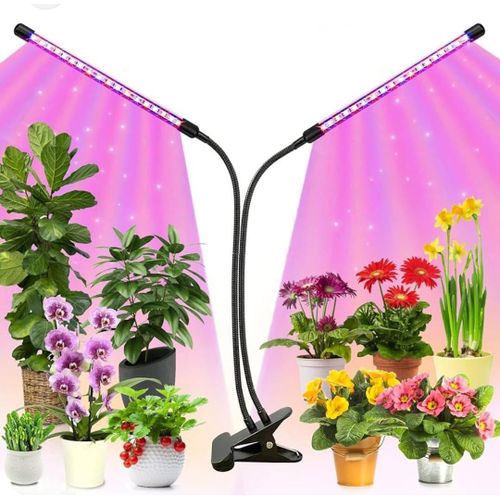 USB Led Grow light timed full spectrum for plants, tent, greenhouse hydroponics growing system indoor growth lighting
