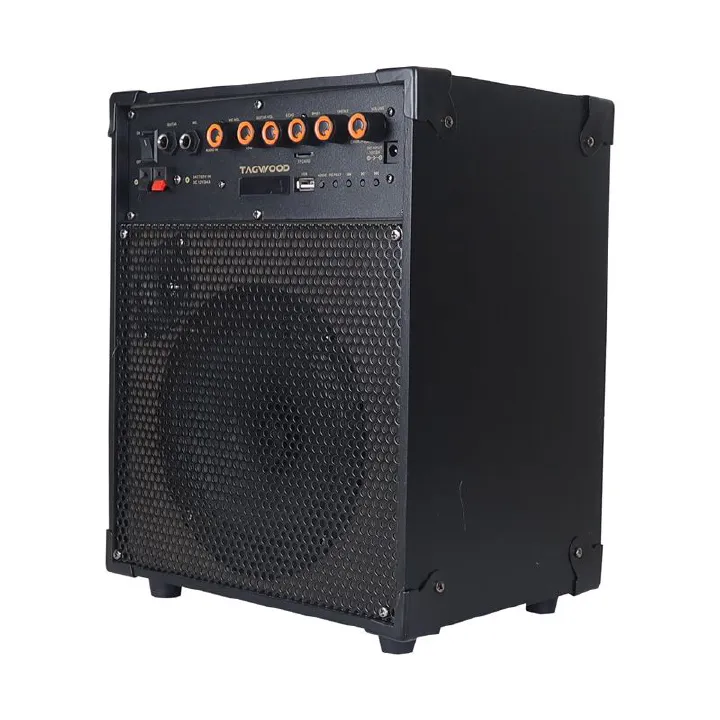 Tagwood LTS-6A Trolley Speaker – Portable Outdoor Bluetooth Speaker with Built-In Subwoofer, Rechargeable Battery, and Free Wireless Microphone for Parties, Events, and Entertainment