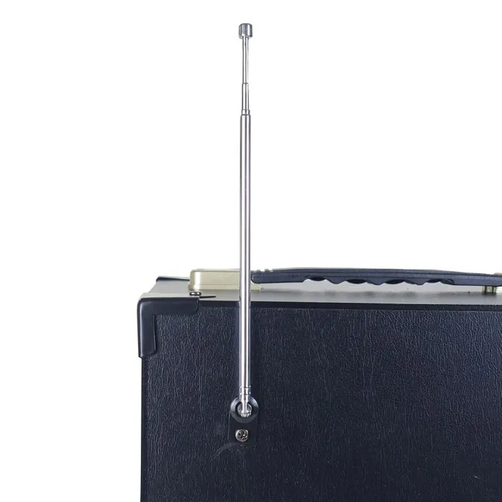 Tagwood LTS-6A Trolley Speaker – Portable Outdoor Bluetooth Speaker with Built-In Subwoofer, Rechargeable Battery, and Free Wireless Microphone for Parties, Events, and Entertainment