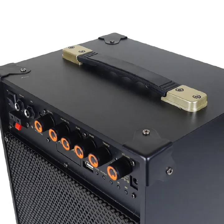 Tagwood LTS-6A Trolley Speaker – Portable Outdoor Bluetooth Speaker with Built-In Subwoofer, Rechargeable Battery, and Free Wireless Microphone for Parties, Events, and Entertainment