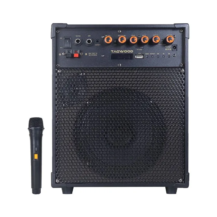 Tagwood LTS-6A Trolley Speaker – Portable Outdoor Bluetooth Speaker with Built-In Subwoofer, Rechargeable Battery, and Free Wireless Microphone for Parties, Events, and Entertainment