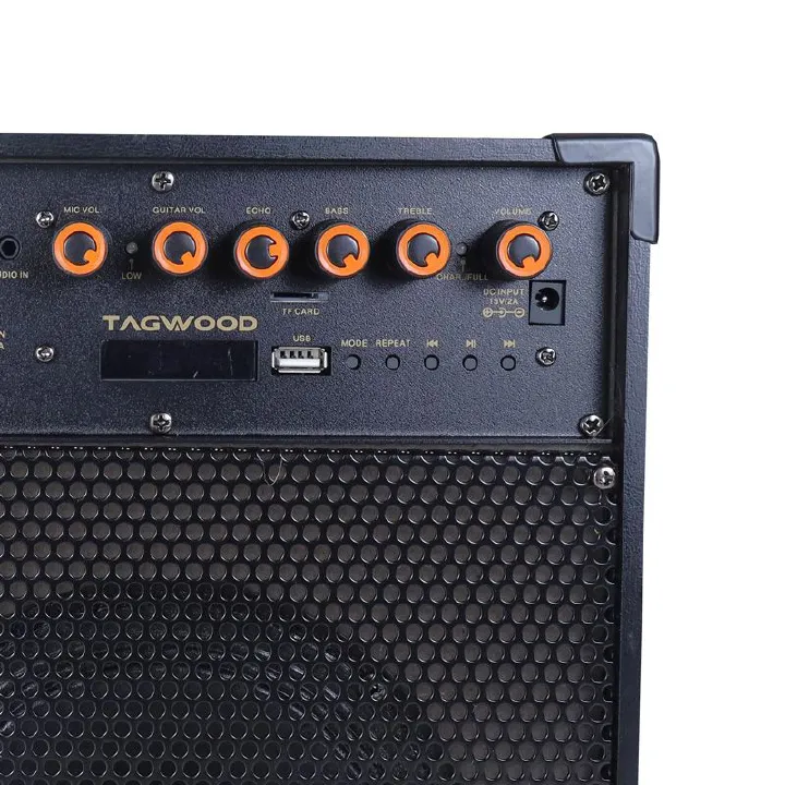 Tagwood LTS-6A Trolley Speaker – Portable Outdoor Bluetooth Speaker with Built-In Subwoofer, Rechargeable Battery, and Free Wireless Microphone for Parties, Events, and Entertainment