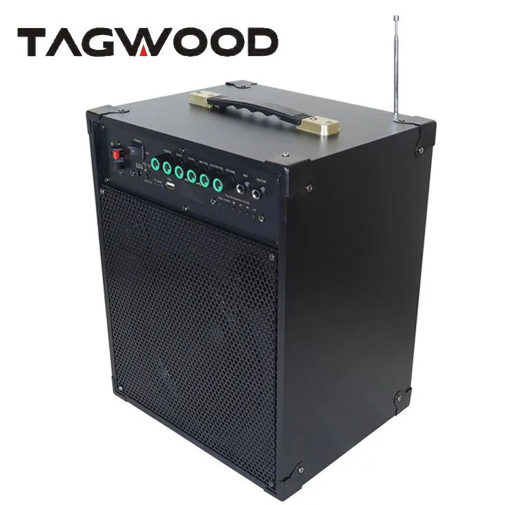 Tagwood LTS-8A Trolley Speaker – Portable Outdoor Bluetooth Speaker with Built-In Subwoofer, Rechargeable Battery, and Free Wireless Microphone for Parties, Events, and Entertainment