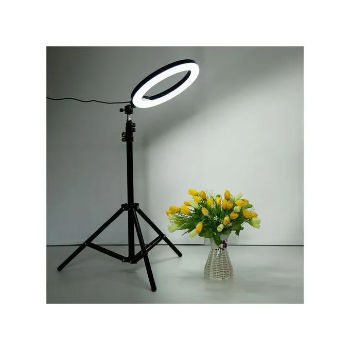 Universal 10-Inch LED Ring Selfie Light 210 White LEDs 10W – Adjustable Brightness Lamp for Photography, Video, and Live Streaming