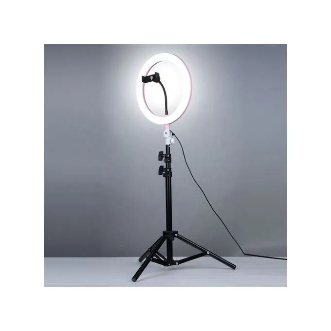 Universal 10-Inch LED Ring Selfie Light 210 White LEDs 10W – Adjustable Brightness Lamp for Photography, Video, and Live Streaming