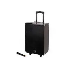 🔥Tagwood 15” Trolley Speaker – Powerful Bass – Bluetooth – USB/SD Support – FM Radio – Rechargeable Battery – Karaoke Mic Input – LED Display – Portable & Loud