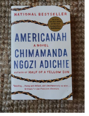 Americanah by Chimamanda Ngozi Adichie