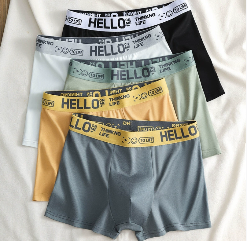 5 piece men's underwear breathable and comfortable Modal men shorts clothes boy shorts men clothes Men's Boxer Briefs Local fast delivery