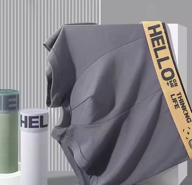 5 piece men's underwear breathable and comfortable Modal men shorts clothes boy shorts men clothes Men's Boxer Briefs Local fast delivery