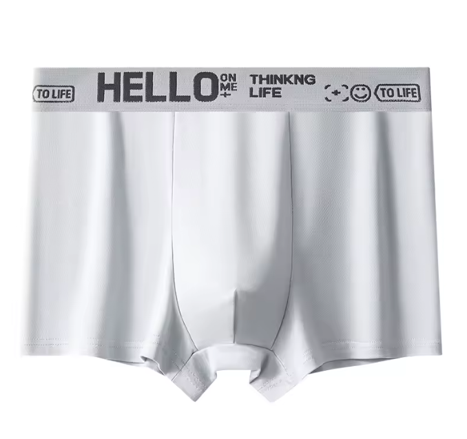 5 piece men's underwear breathable and comfortable Modal men shorts clothes boy shorts men clothes Men's Boxer Briefs Local fast delivery