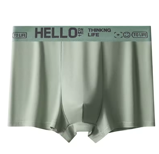 5 piece men's underwear breathable and comfortable Modal men shorts clothes boy shorts men clothes Men's Boxer Briefs Local fast delivery