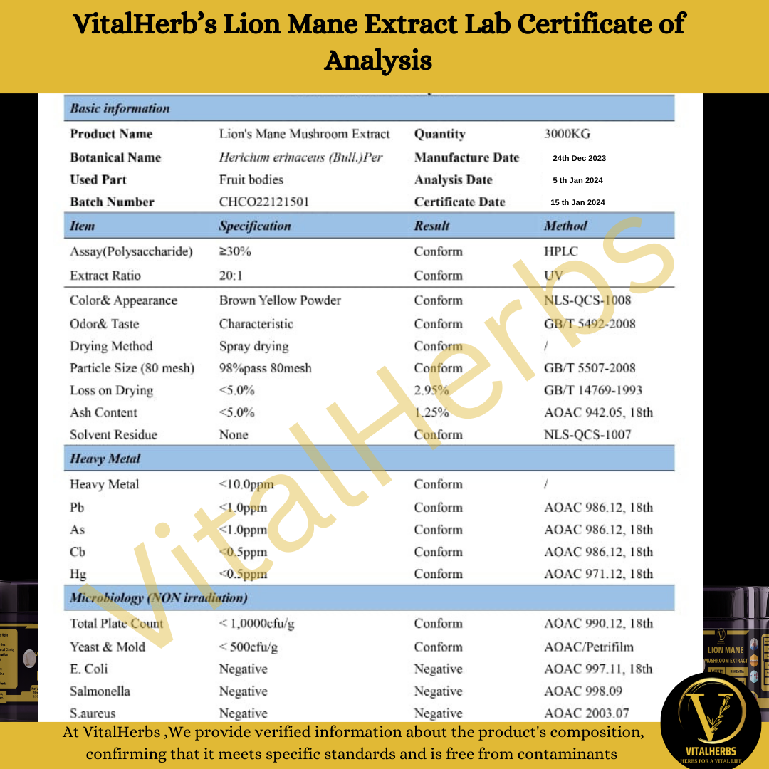Lion's Mane Extract Powder - 100% Pure,Finely Ground,Soluble in water, support brain health, aiding in memory, focus, and overall cognitive function.