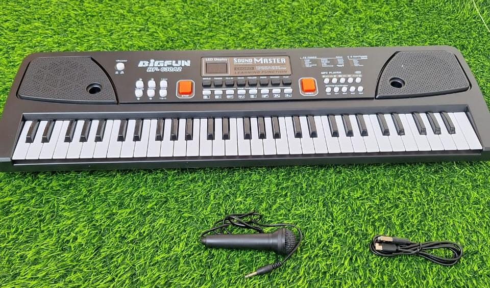 61 Key Electronic Musical Piano Keyboard