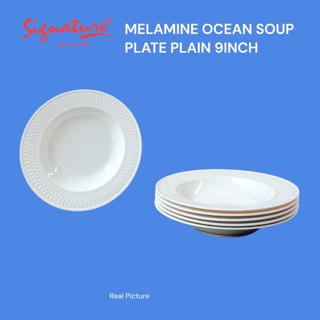 💰 LOW PRICE OFFER 💰-6pcs Melamine Ocean Plain Soup Plate – 9 Inch Durable, Lightweight, Dishwasher Safe Tableware for Home, Restaurant, Cafes, and Everyday Use