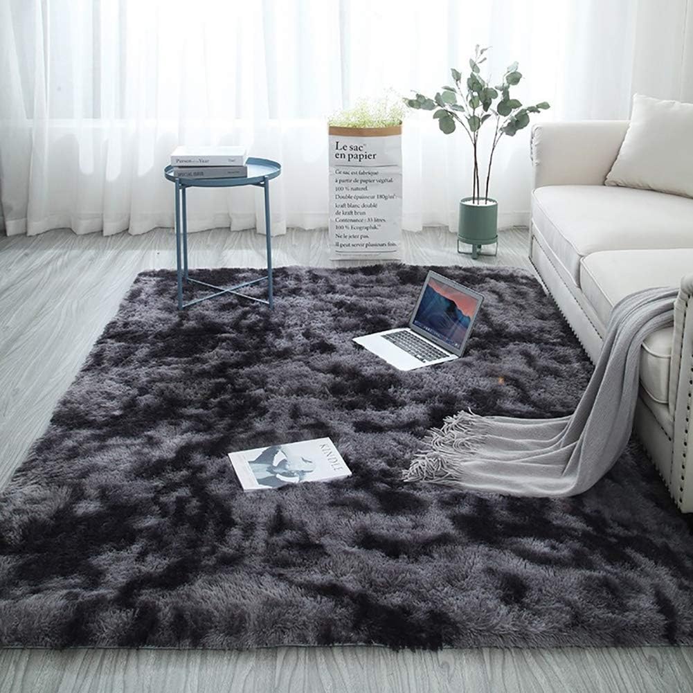 Super Soft 5 BY 8 Fluffy Carpets Indoor Plush Area Rugs for Living Room Bedroom Anti-Skid