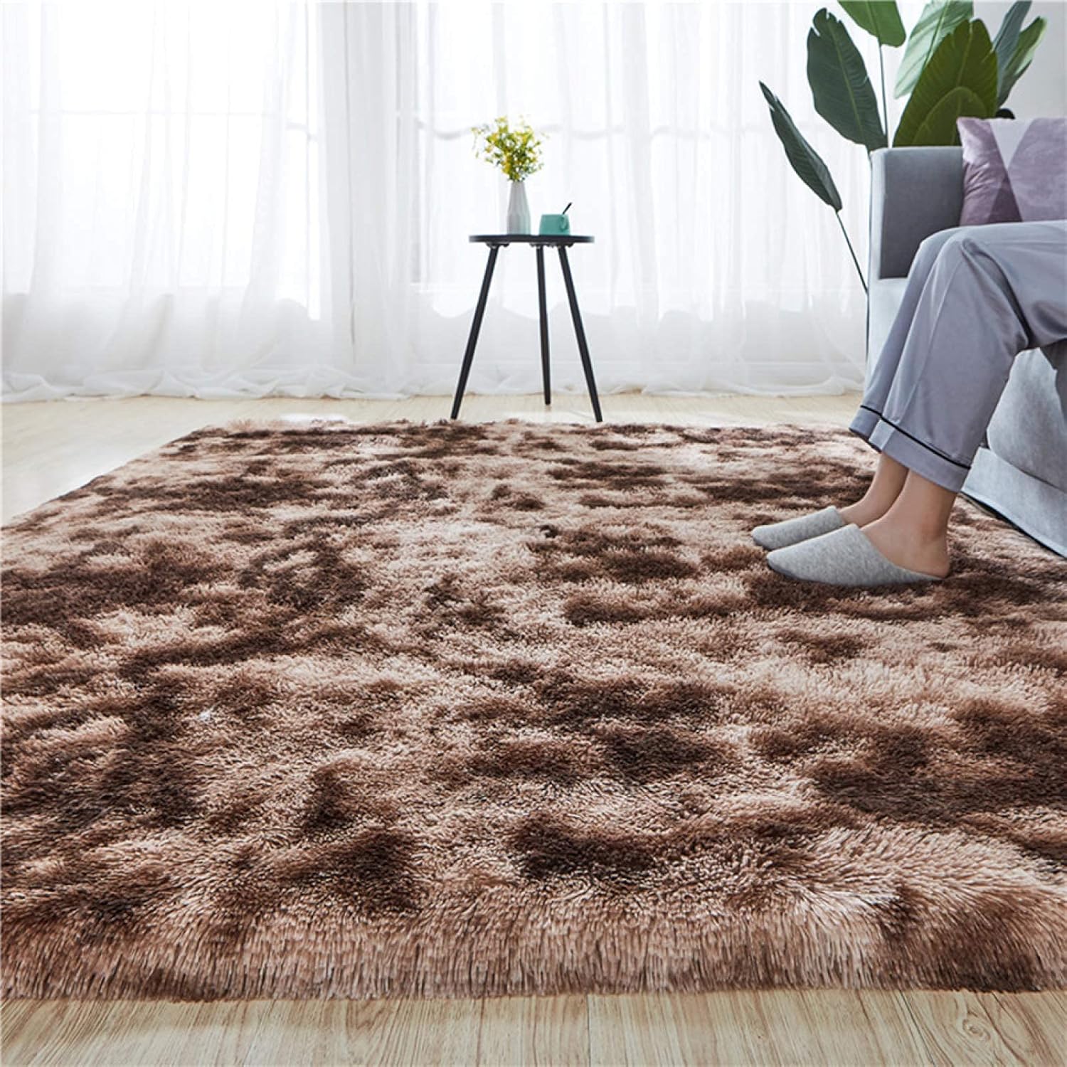 Super Soft 5 BY 8 Fluffy Carpets Indoor Plush Area Rugs for Living Room Bedroom Anti-Skid