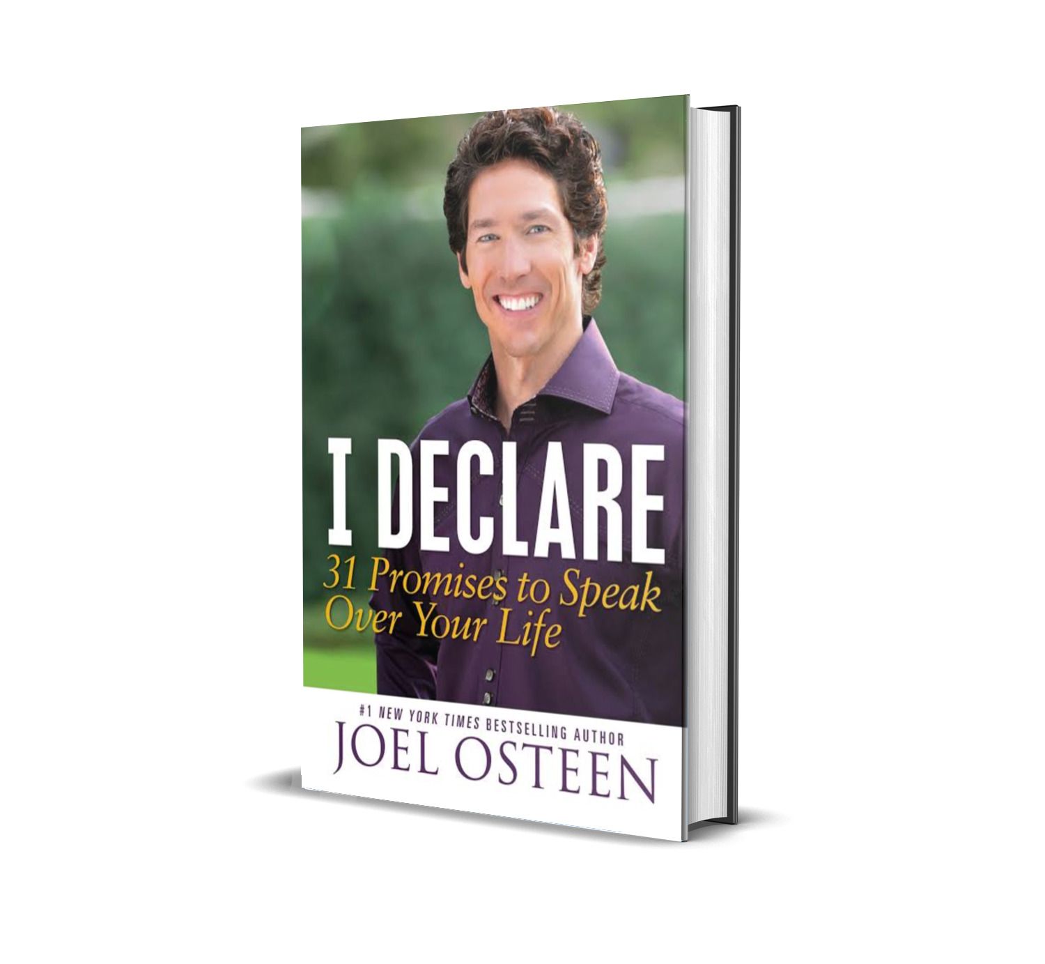 I Declare God's Promises to Speak Over Yourself
In Joel Osteen’s book, you will find 31 powerful affirmations rooted in Scripture to help you speak life over every area—your health, family, finances,
