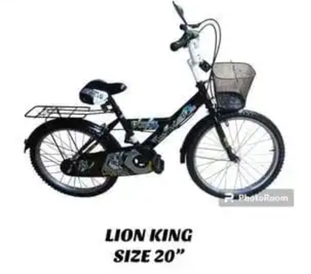 Lion King Size 20 Kids Bike Bicycle 8-12 Years