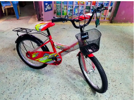 Lion King Size 20 Kids Bike Bicycle 8-12 Years