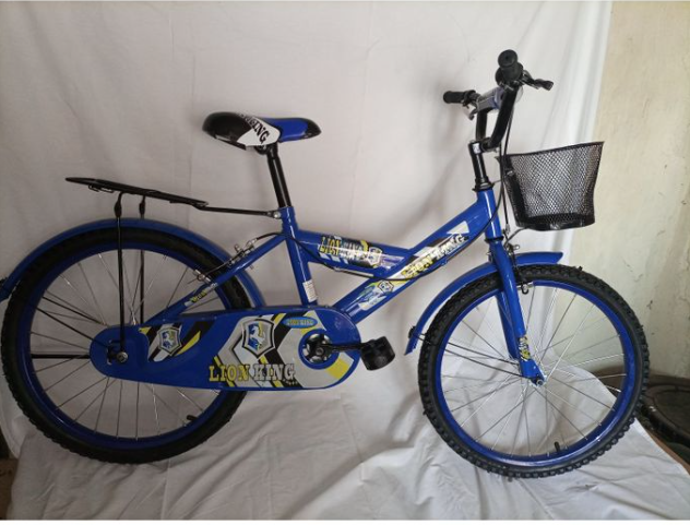 Lion King Size 20 Kids Bike Bicycle 8-12 Years