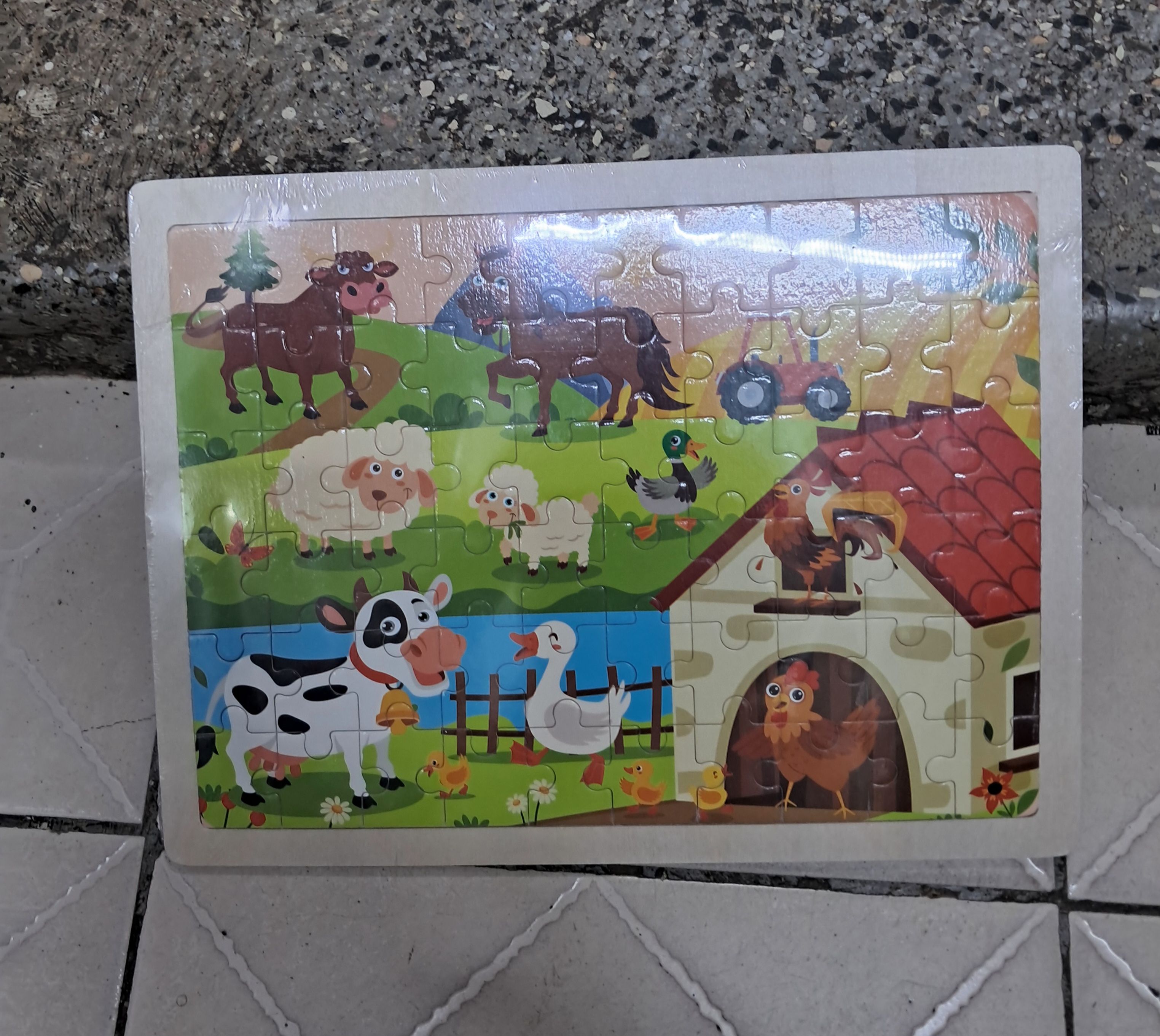 Wooden Jigsaw Puzzles 100 Pieces