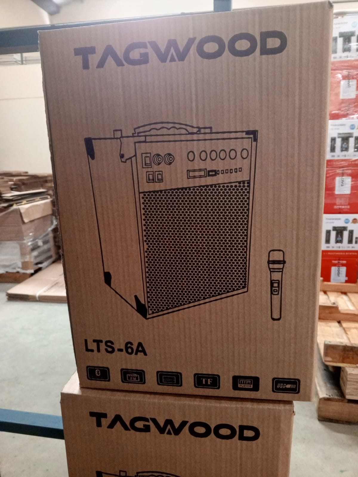 TAGWOOD LTS-6A Trolley Speaker Poarteable Portable Speaker Subwoofer Outdoor Speaker ,Bluetooth,Free Wireless Microphone & a Built in Battery Woofer