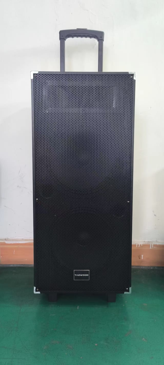 TAGWOOD LTS-12B Trolley Speaker Double Speaker With Microphone12000W Out-Door Subwoofer Multimedia Speaker With Li-Battery ,Wireless Mic, Bluetooth