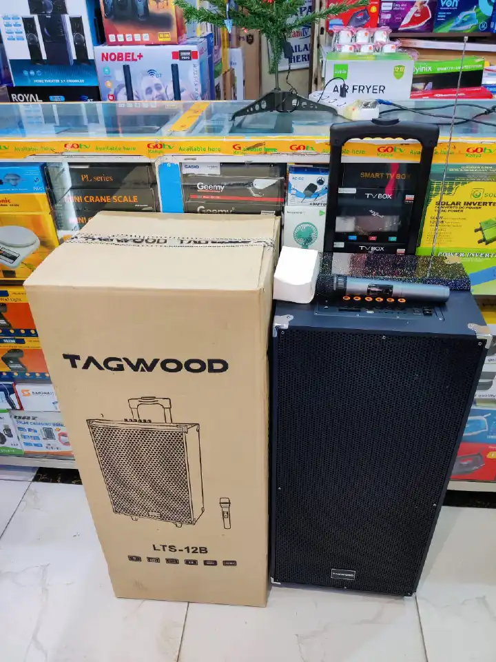 TAGWOOD LTS-12B Trolley Speaker Double Speaker With Microphone12000W Out-Door Subwoofer Multimedia Speaker With Li-Battery ,Wireless Mic, Bluetooth