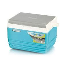 Pinnacle Cooler Box 11L – Compact, Durable, and Reliable for Outdoor and Indoor Use