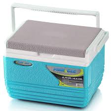 Pinnacle 4.5L Compact Cooler Ice Box – Stylish & Portable Mini Cooler for Food, Drinks & Medicine | Ideal for Daily Use, Office & Travel in Kenya