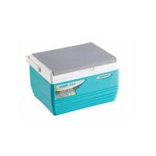 Pinnacle 4.5L Compact Cooler Ice Box – Stylish & Portable Mini Cooler for Food, Drinks & Medicine | Ideal for Daily Use, Office & Travel in Kenya