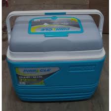 Pinnacle 4.5L Compact Cooler Ice Box – Stylish & Portable Mini Cooler for Food, Drinks & Medicine | Ideal for Daily Use, Office & Travel in Kenya