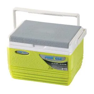 Pinnacle 4.5L Compact Cooler Ice Box – Stylish & Portable Mini Cooler for Food, Drinks & Medicine | Ideal for Daily Use, Office & Travel in Kenya
