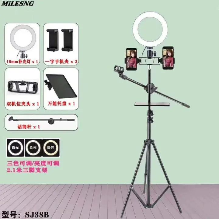 5-in-1 Ring Light with Adjustable Phone Holder, Professional Microphone Stand, Selfie Light for YouTube, TikTok, Live Streaming, Makeup, Vlogging, Video Recording, Studio Lighting Kit